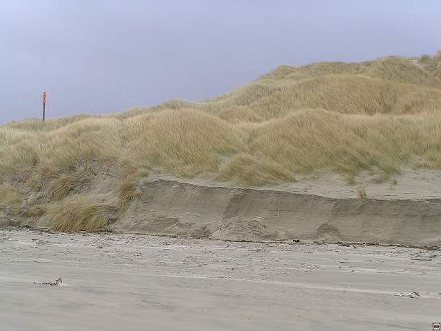 Steward Island 023.jpg